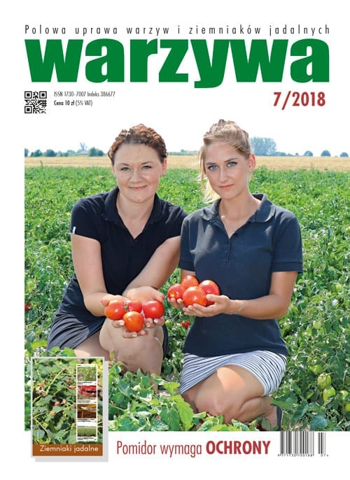 Warzywa 7/2018