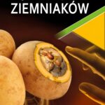 Program ochrony ziemniaka 2020